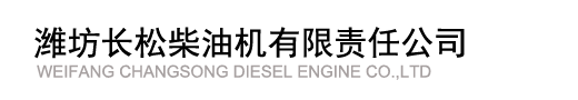 Weifang Changsong Diesel Engine Co.,LTD.