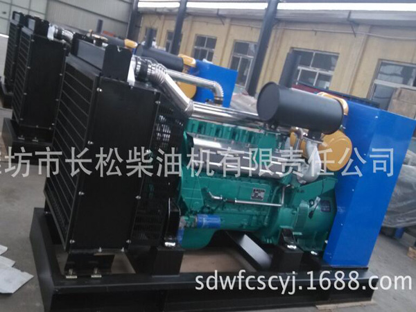 Water cooled 6 cylinder 150KW natural gas generator set