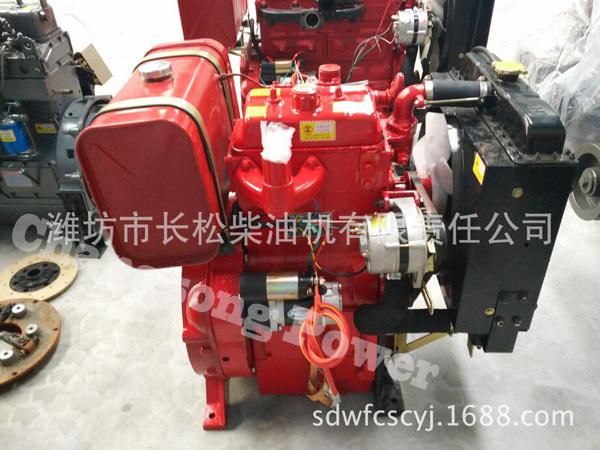 2 cylinder and 2110 diesel engine for fire fighting